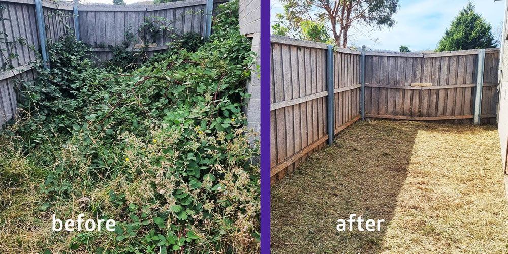 Gardeners making difference - before after
